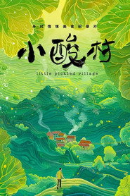 小酸村 封面