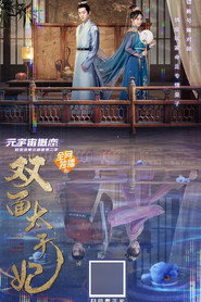 双面太子妃 封面