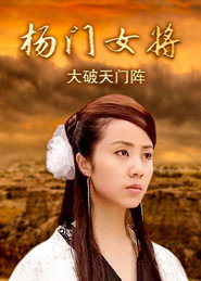 杨门女将之大破天门阵 封面