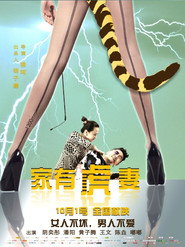 家有虎妻 封面