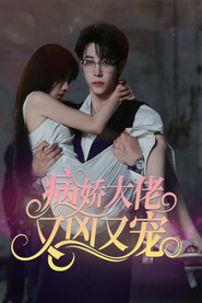 病娇大佬又凶又宠 封面