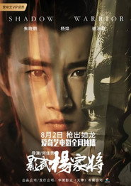 影武杨家将 封面