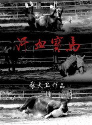 汗血宝马 封面
