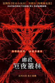 布莱尔女巫 封面