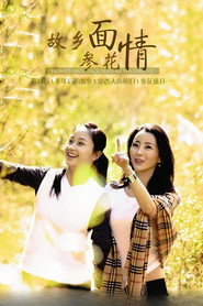 故乡面·参花情 封面