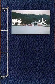 野火 封面