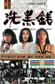 洗黑钱 封面