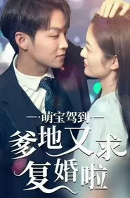 萌宝驾到爹地又求复婚啦 封面