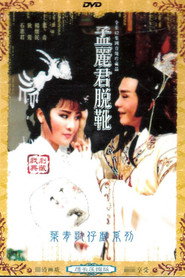 孟麗君 封面