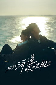 不如海边吹吹风 封面
