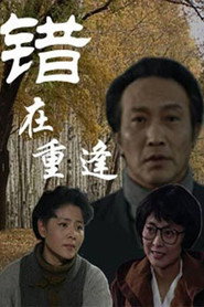 错在重逢 封面