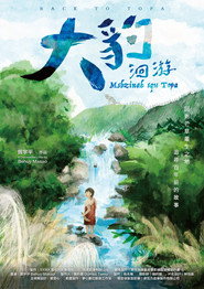 大豹：洄游 封面