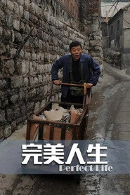 完美人生 封面