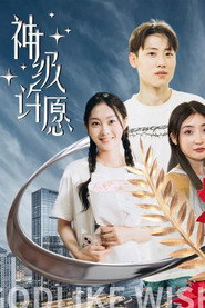 神级许愿 封面