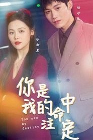 你是我的命中注定 封面