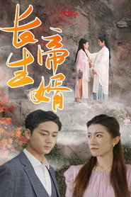 长生帝婿 封面