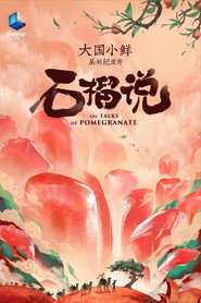 大国小鲜—石榴说 封面