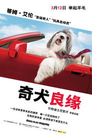 长毛狗 封面