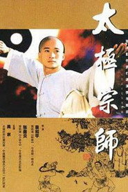 太极宗师 封面