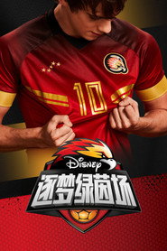 逐梦绿茵场 封面