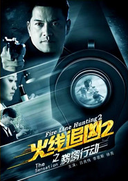 火线追凶2之鹈鹕行动 封面