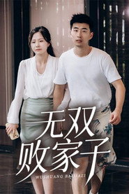 无双败家子 封面
