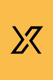 X调查 封面