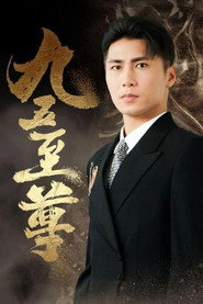 九五至尊 封面