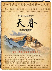 天脊 封面