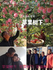 苹果树下 封面