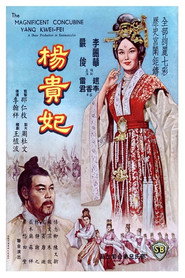 杨贵妃 封面