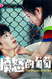 愤怒的葡萄 封面