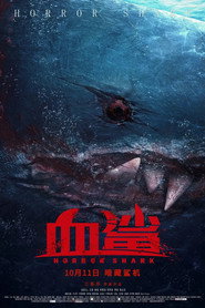 血鲨 封面