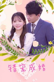 错宠成婚 封面