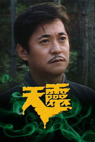 天灵 封面