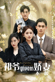 祁爷的闪婚娇妻不一般 封面