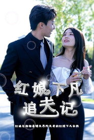 红娘下凡追夫记 封面