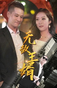 无敌王婿 封面