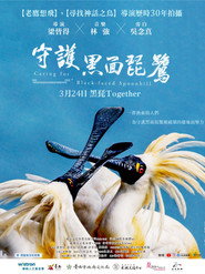 守护黑面琵鹭 封面