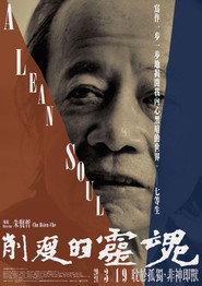 他们在岛屿写作：削瘦的灵魂 封面