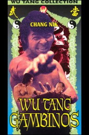 龍家將 封面