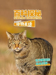 百科探秘动物星球 封面