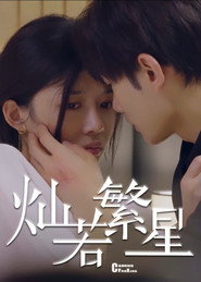灿若繁星 封面