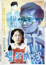 望父成龙 封面