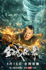 全城风暴 封面