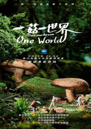 一菇一世界 封面