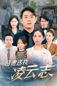 贤妻送我凌云志 封面