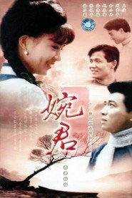婉君 封面