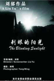 刺眼的阳光 封面