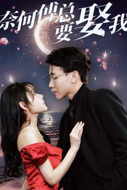 奈何傅总要娶我 封面